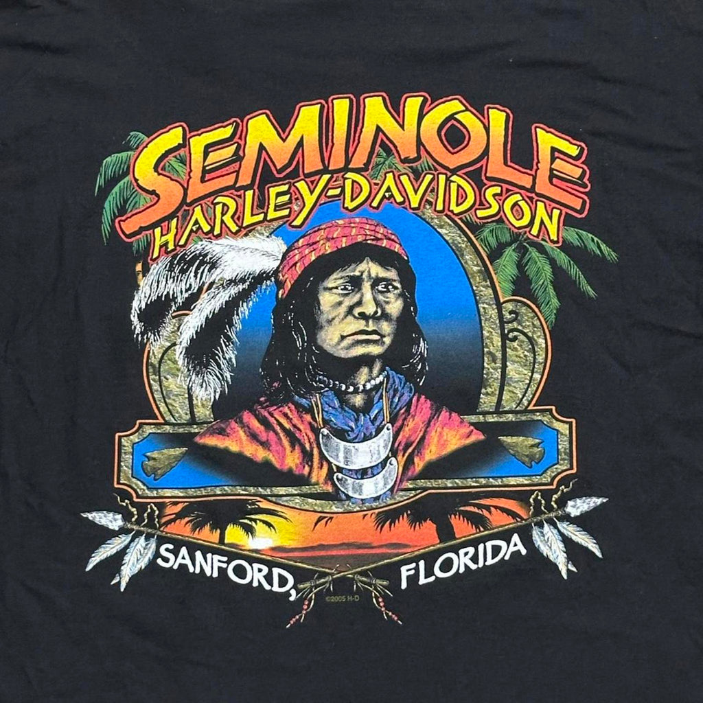 Seminole, Florida 2005 Harley Davidson