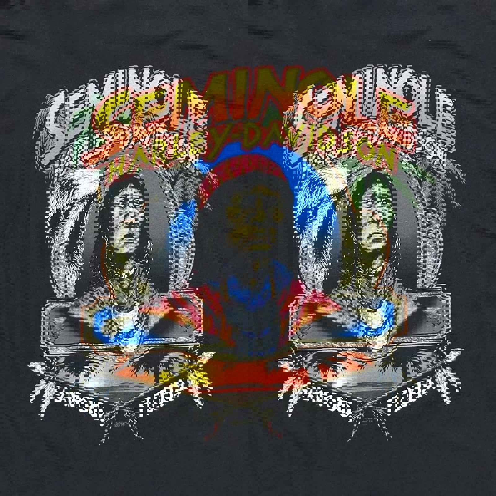 Seminole, Florida 2005 Harley Davidson