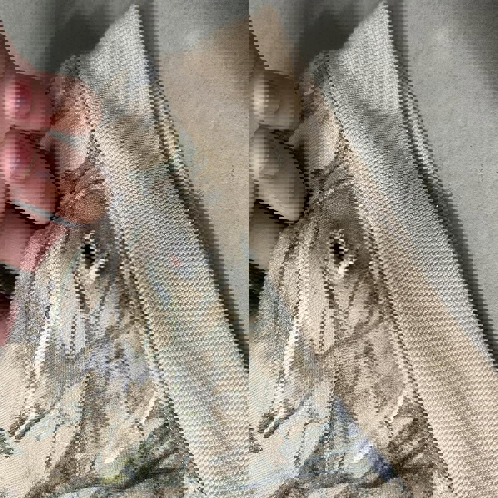 Real Tree Inspired Hoodie #Realtree #Hoodie