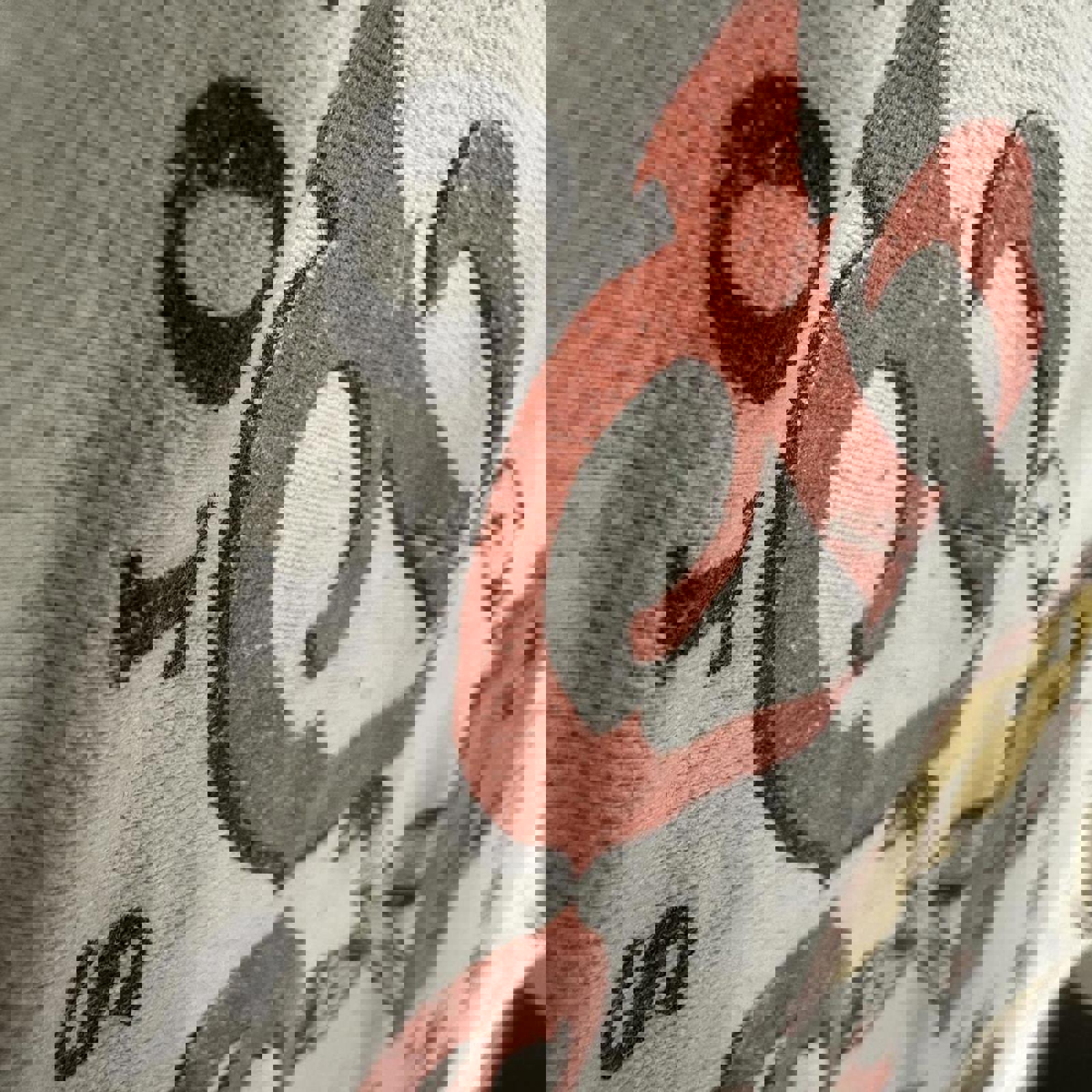 Devils Delight Brisco Brands Faded Graphic Y2K Tee