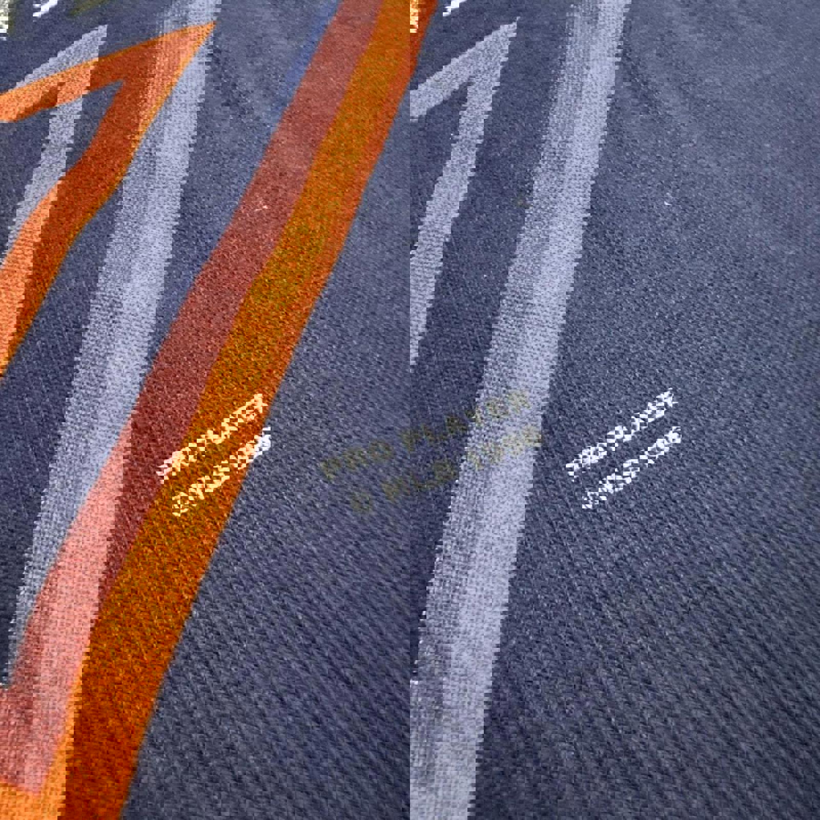 Vintage San Diego Padres 1996 Proplayer Stamped Division Champs Graphic Tee