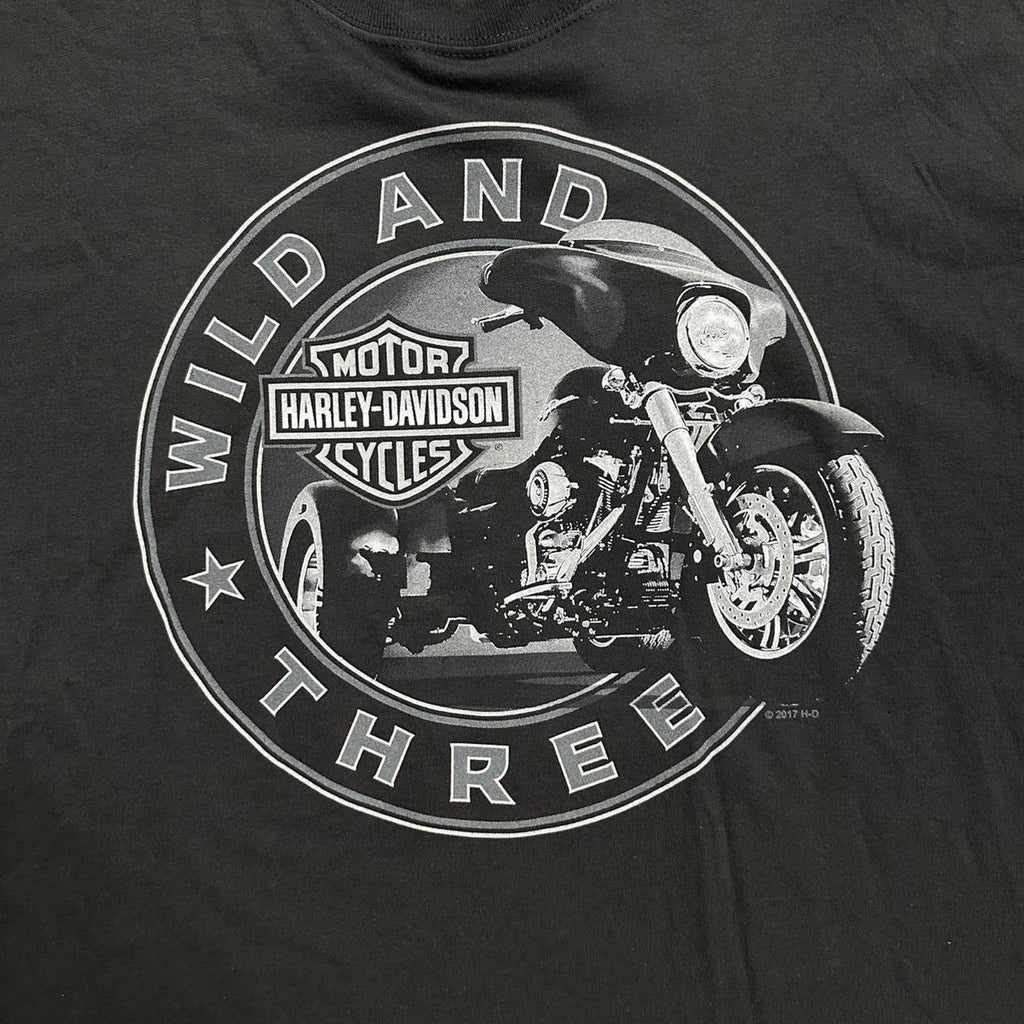 Seminole, Florida 2005 Harley Davidson