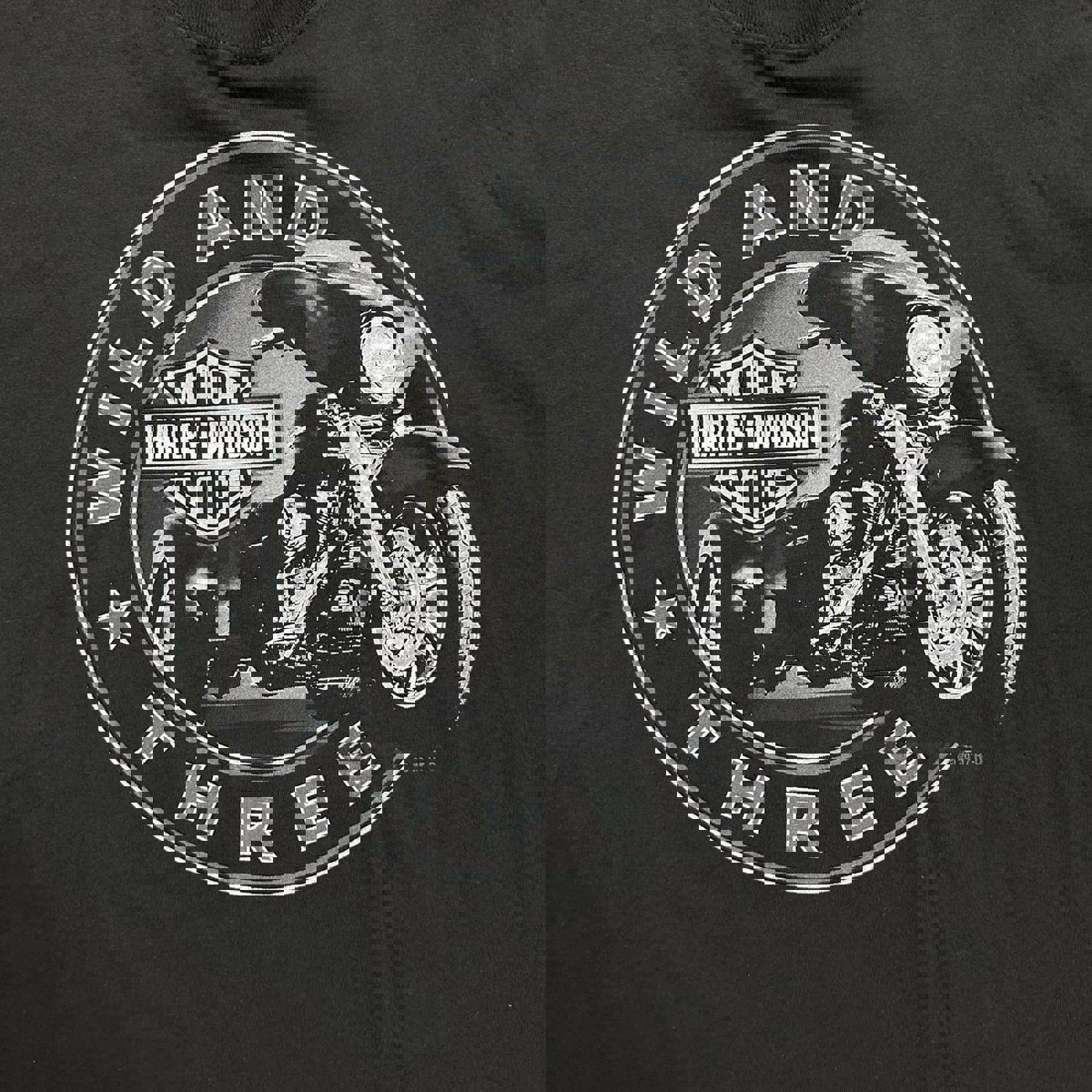 Seminole, Florida 2005 Harley Davidson