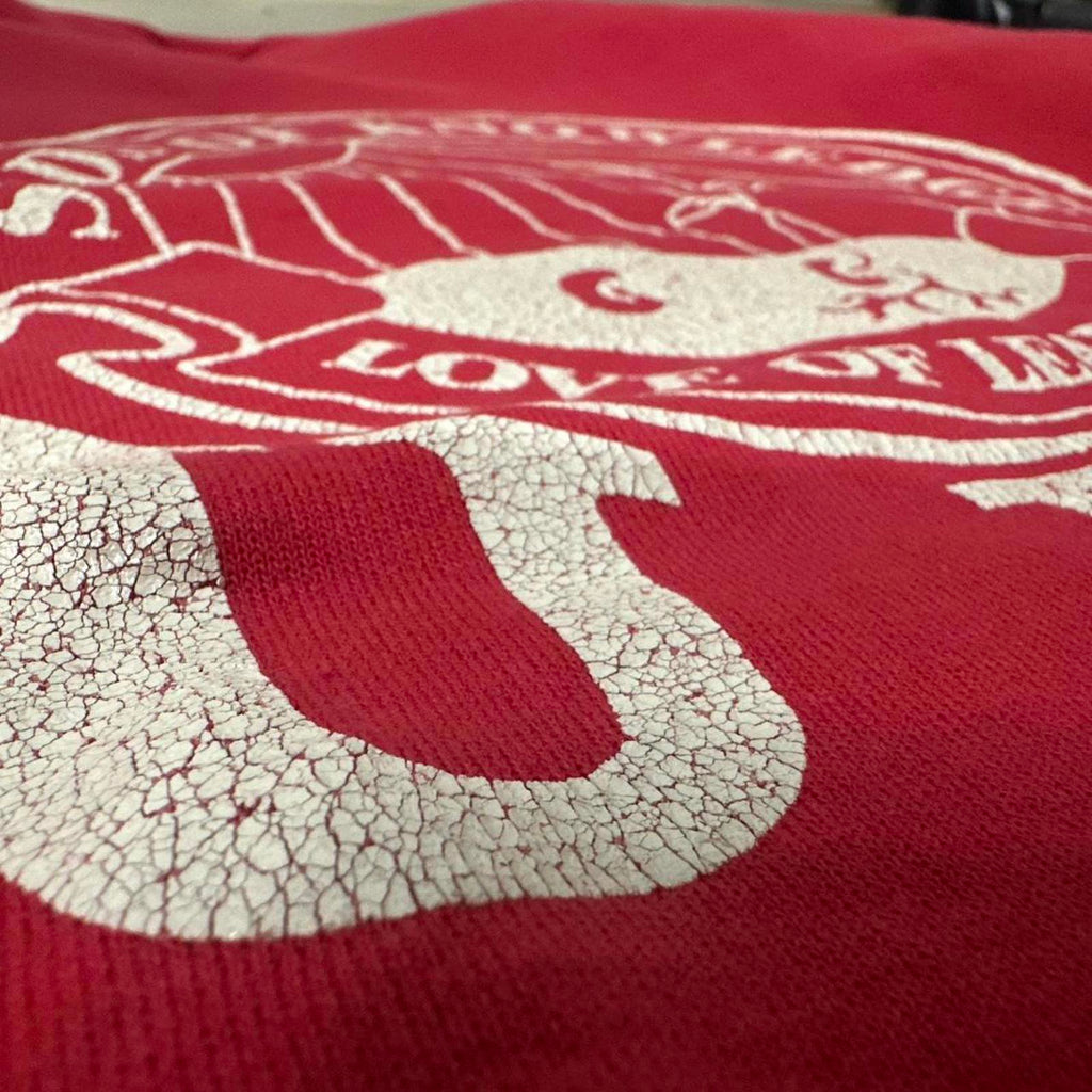 Hanes Vintage UCLA Crewneck Sweatshirt With Sick Fade