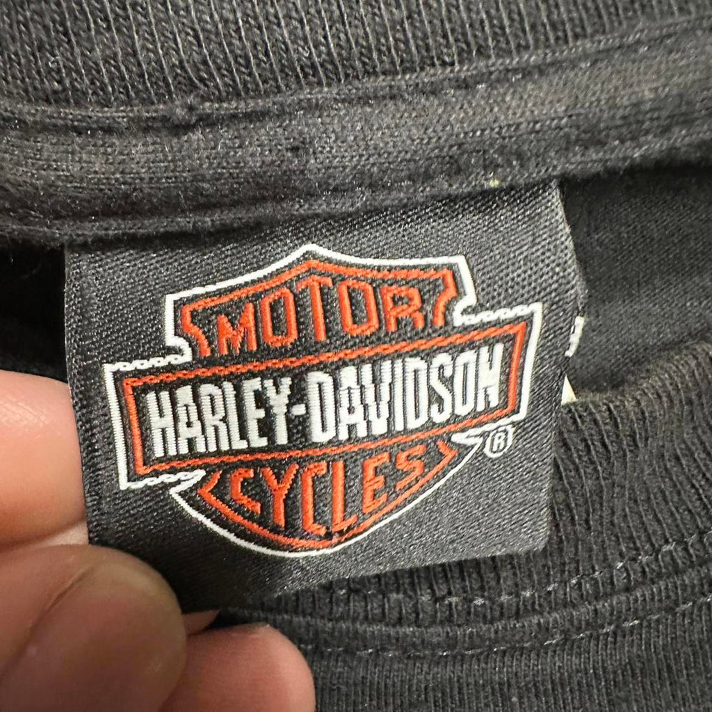 Seminole, Florida 2005 Harley Davidson