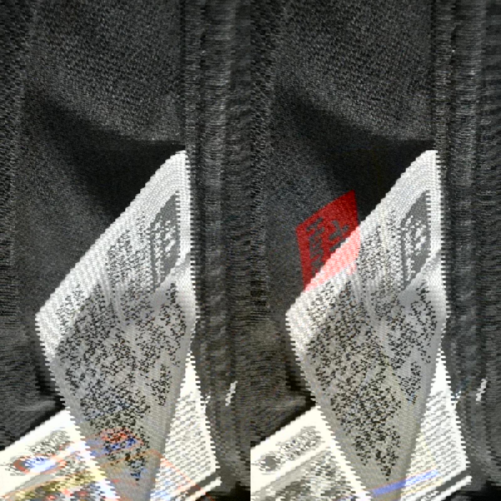 Vintage 1999’ 59th Annual Sturgis Bike Rally Hanes Single Stitch Graphic Faded Boxy Tee