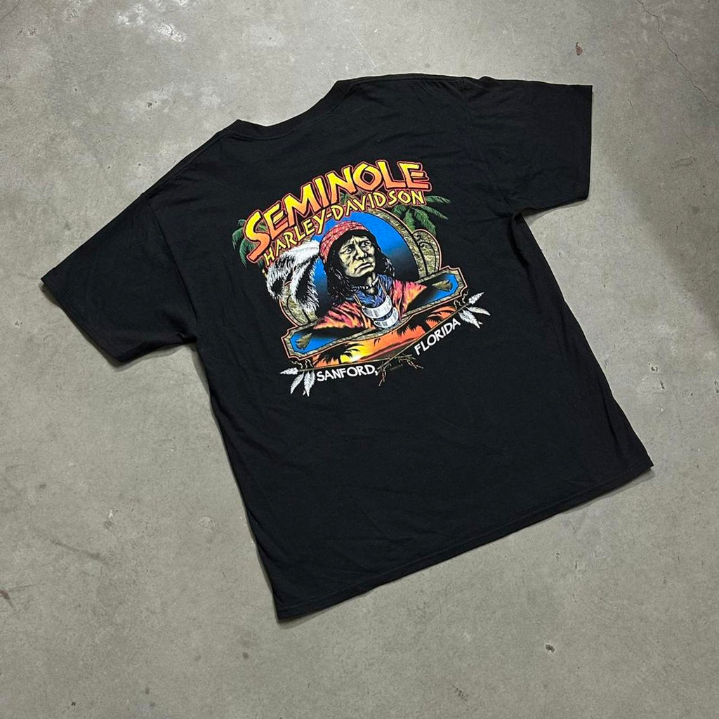 Seminole, Florida 2005 Harley Davidson