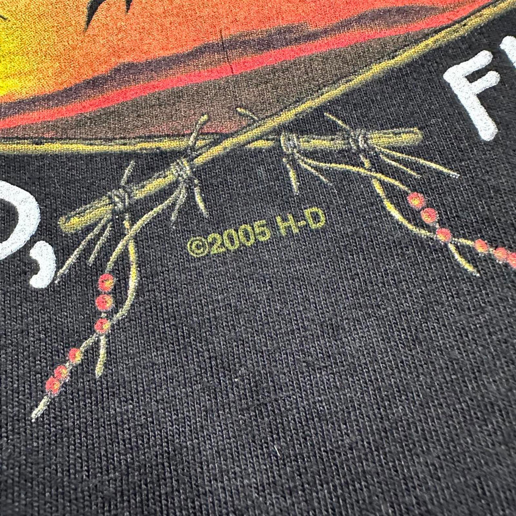 Seminole, Florida 2005 Harley Davidson