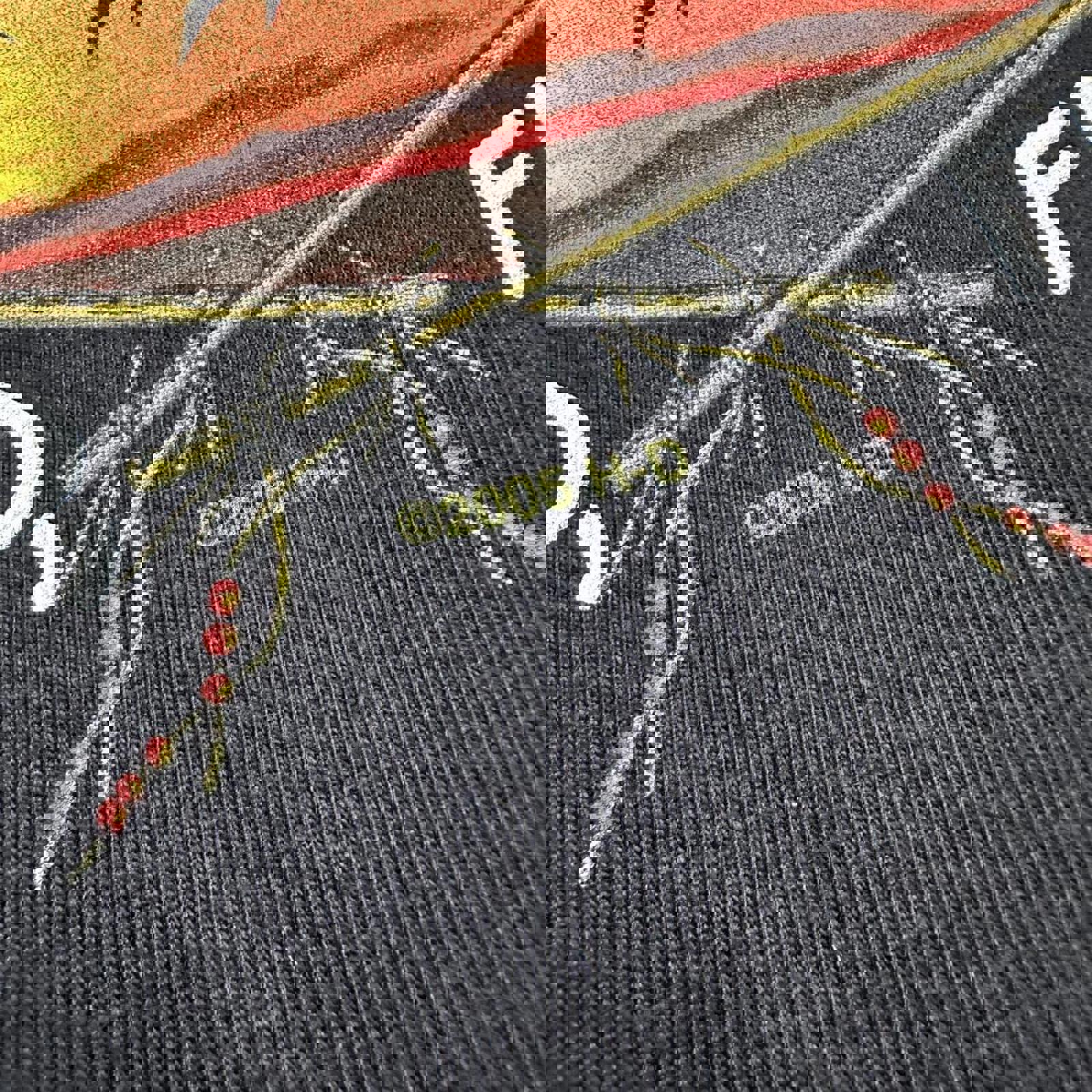 Seminole, Florida 2005 Harley Davidson