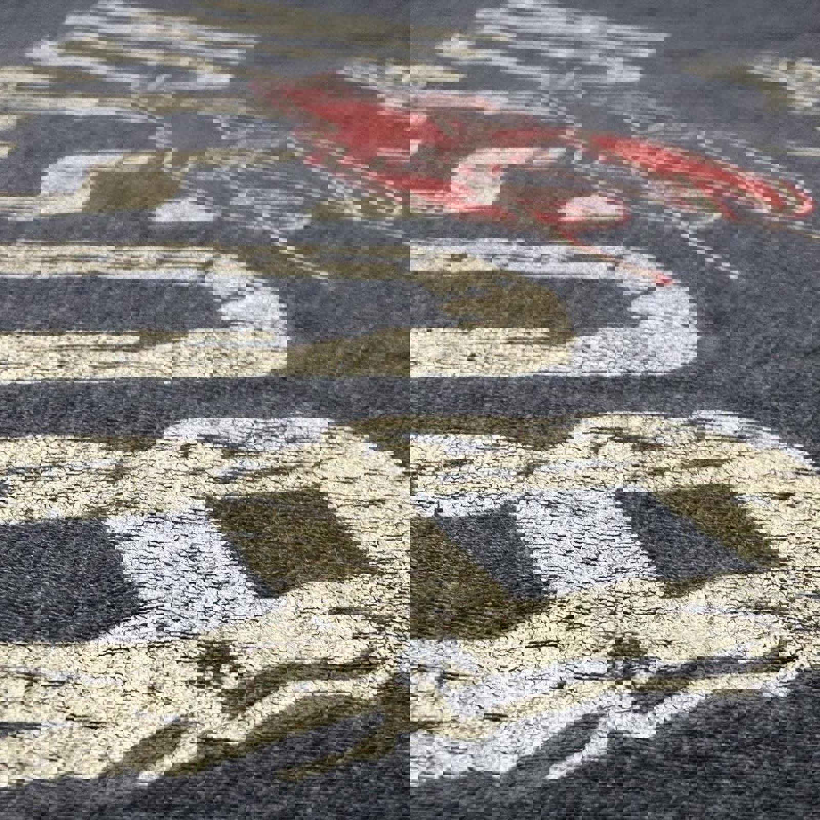 Boston Massachusetts Lobster Basic Graphic Tee