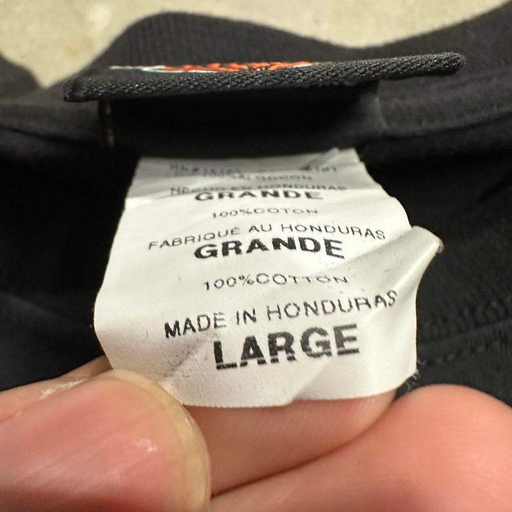 Seminole, Florida 2005 Harley Davidson