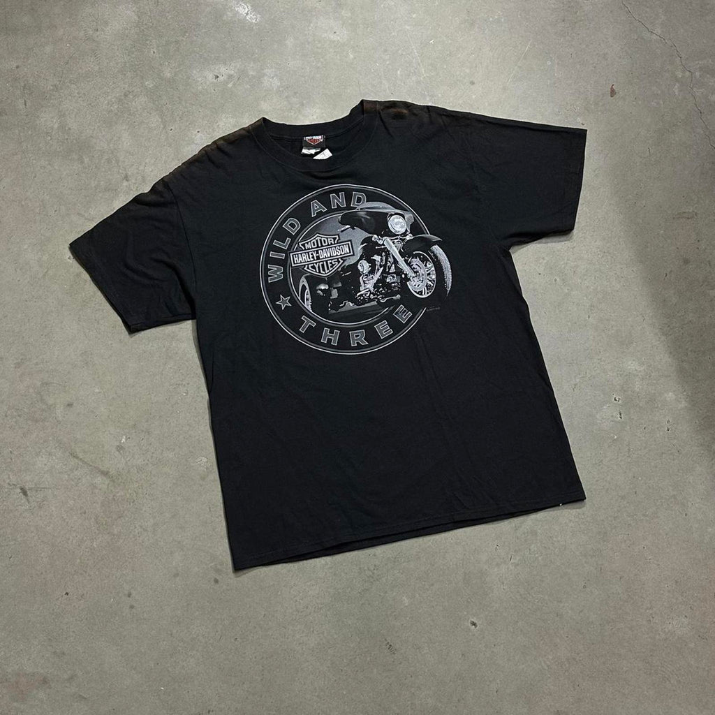 Seminole, Florida 2005 Harley Davidson